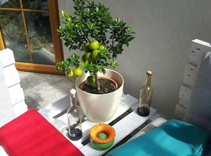 Haus Elisabeth Appartement